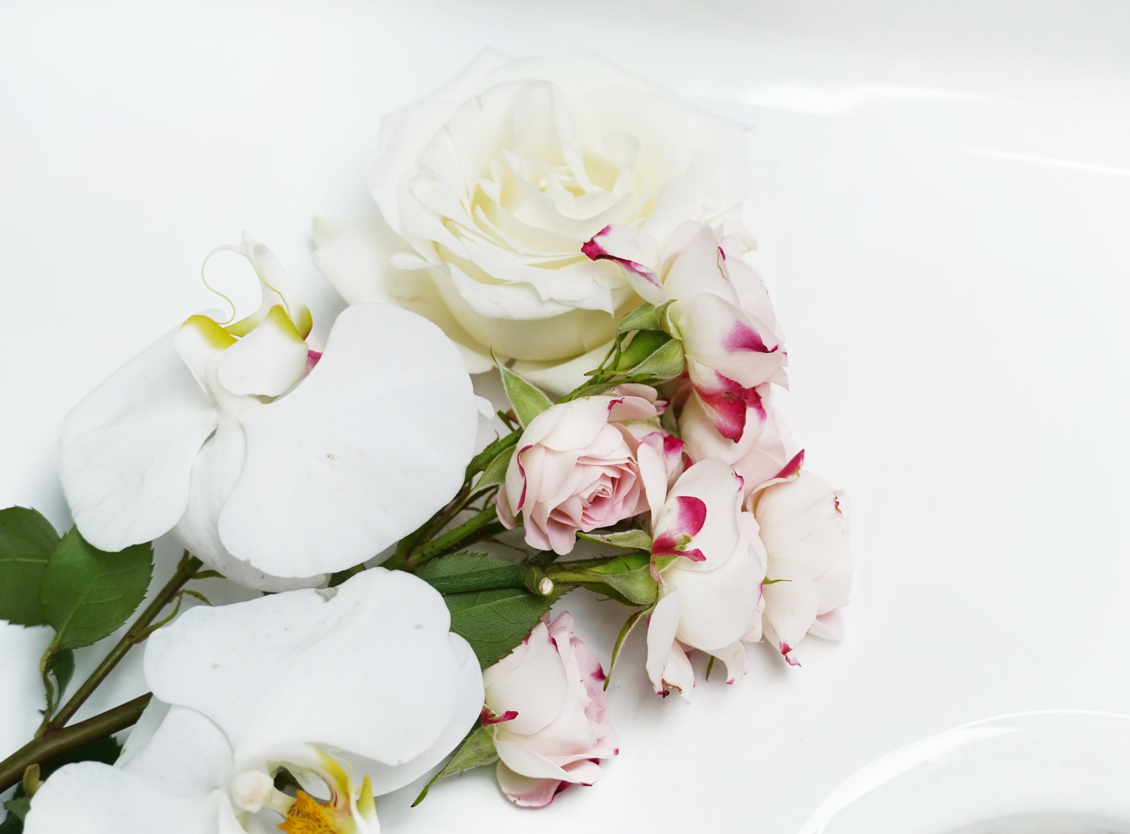 Ceramic Sinks