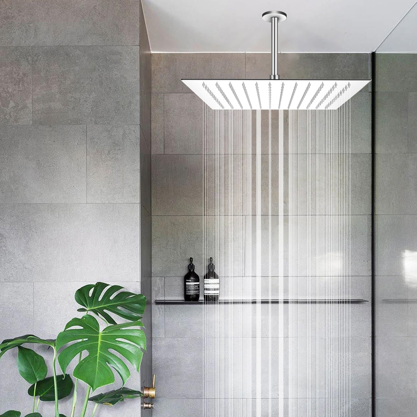 Bathroom Shower Head